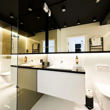 Luxury Apartament Old Town Park City Poznaň